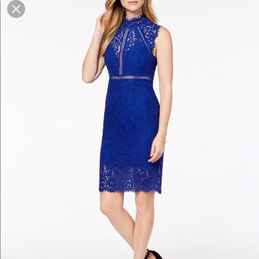 Bardot Sleeveless Royal Blue Lace Sheath Dress Lace panel dress